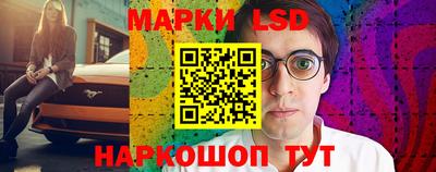 spice Моздок