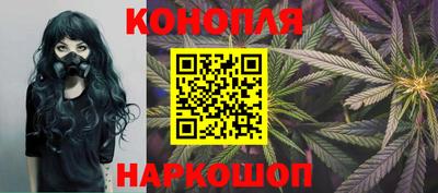 spice Моздок